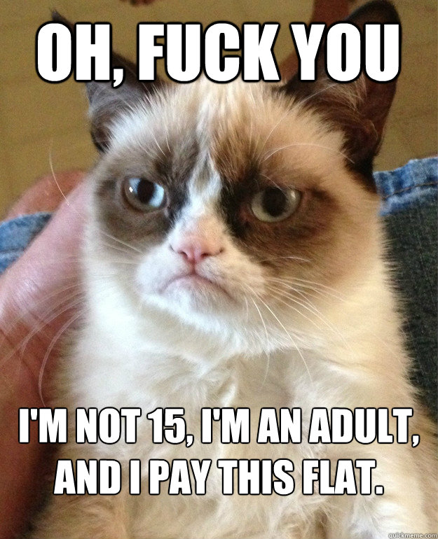 oh, fuck you I'm not 15, I'm an adult, and I pay this flat.  Grumpy Cat