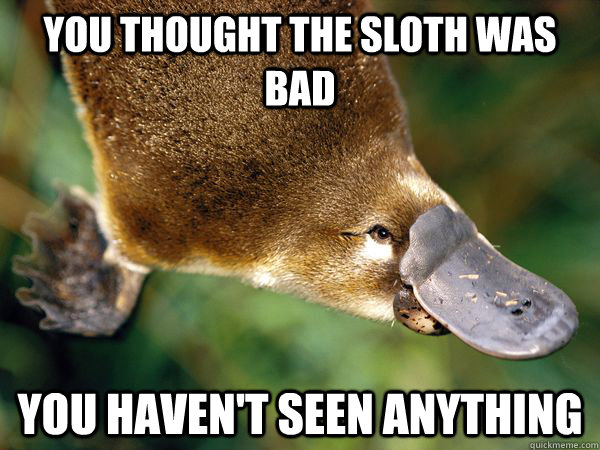 You thought the Sloth was bad You haven't seen anything  - You thought the Sloth was bad You haven't seen anything   Platypus