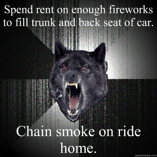 Spend rent on enough fireworks to fill trunk and back seat of car. Chain smoke on ride home.
  Insanity Wolf
