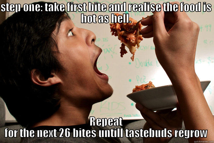 STEP ONE: TAKE FIRST BITE AND REALISE THE FOOD IS HOT AS HELL. REPEAT FOR THE NEXT 26 BITES UNTILL TASTEBUDS REGROW Misc