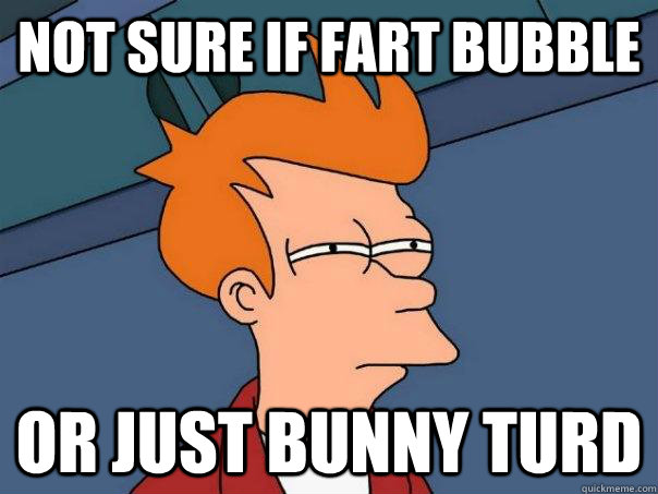 not sure if fart bubble or just bunny turd  Futurama Fry