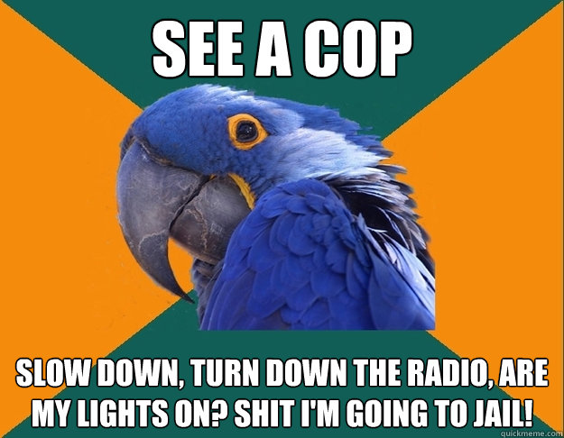 See a cop Slow down, turn down the radio, are my lights on? Shit I'm going to Jail!  Paranoid Parrot