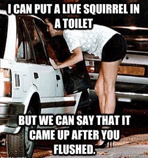 I can put a live squirrel in a toilet but we can say that it came up after you flushed.  Karma Whore