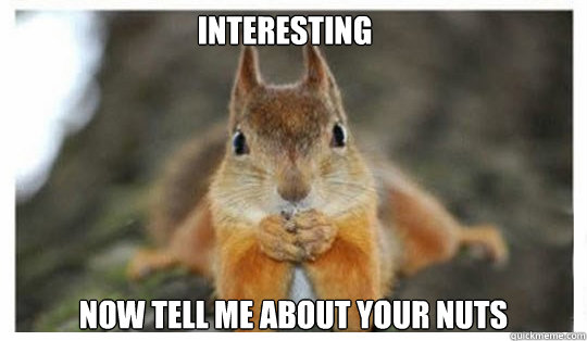 interesting now tell me about your nuts - interesting now tell me about your nuts  Psychiatrist Squirrel