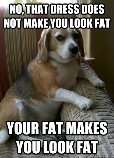 No, that dress does not make you look fat  Your fat makes you look fat  