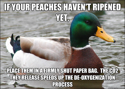 if your peaches haven't ripened yet, place them in a firmly shut paper bag.  The CO2 they release speeds up the de-oxygenization process  Actual Advice Mallard