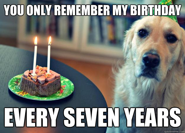 You only remember my birthday every seven years - You only remember my birthday every seven years  Sad Birthday Dog