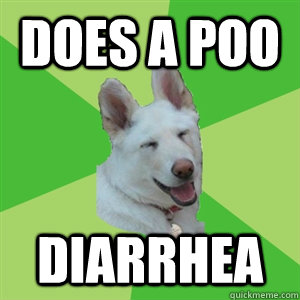 Does a poo Diarrhea  