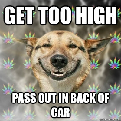 Get too high Pass out in back of car  Stoner Dog