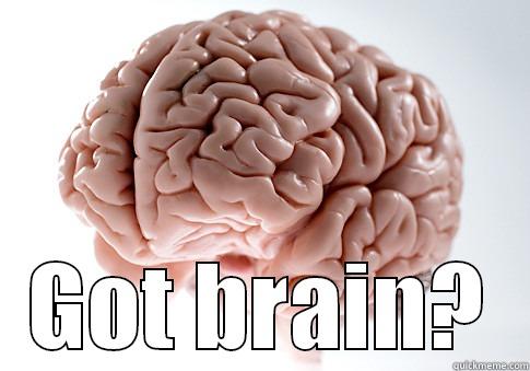  GOT BRAIN? Scumbag Brain