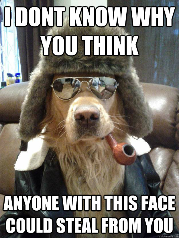I dont know why you think Anyone with this face could steal from you  Overly Suave Dog