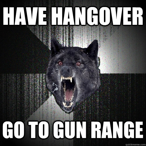 have hangover go to gun range  Insanity Wolf