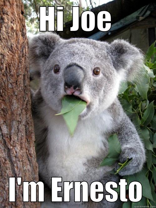 HI JOE I'M ERNESTO koala bear