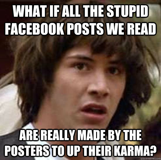 What if all the stupid facebook posts we read are really made by the posters to up their karma?  conspiracy keanu