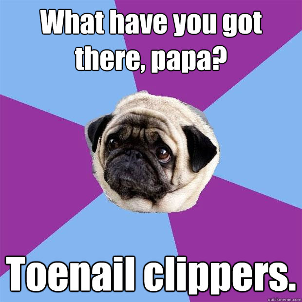 What have you got there, papa? Toenail clippers. - What have you got there, papa? Toenail clippers.  Lonely Pug
