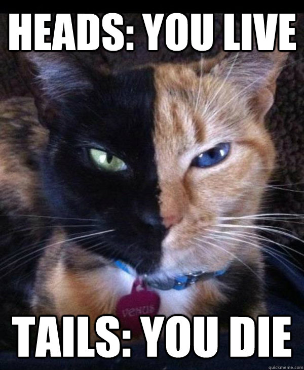 Heads: You Live Tails: You Die - Heads: You Live Tails: You Die  Two Face Cat