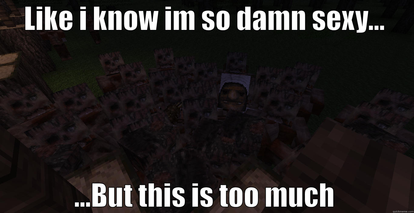 LIKE I KNOW IM SO DAMN SEXY... ...BUT THIS IS TOO MUCH Misc