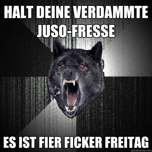 Halt deine verdammte Juso-Fresse Es ist Fier Ficker Freitag  Insanity Wolf