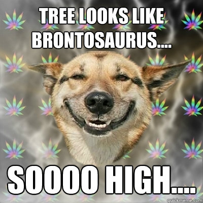 Tree looks like brontosaurus.... Soooo high....  Stoner Dog