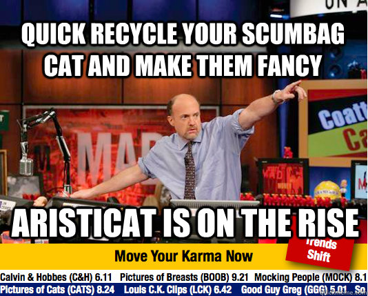 Quick recycle your scumbag cat and make them fancy Aristicat is on the rise  Mad Karma with Jim Cramer