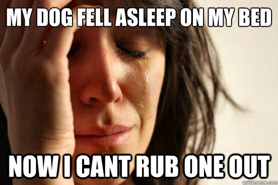 my dog fell asleep on my bed now i cant rub one out  First World Problems