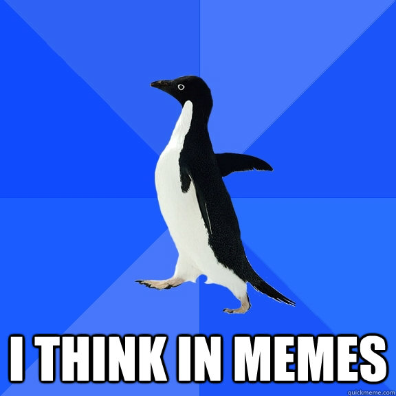  I think in memes  Socially Awkward Penguin