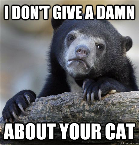 I don't give a damn about your cat  Confession Bear