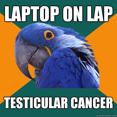 Laptop on lap Testicular cancer  Paranoid Parrot