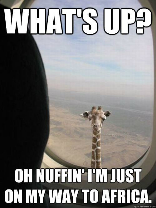 What's up? Oh nuffin' i'm just on my way to africa.  