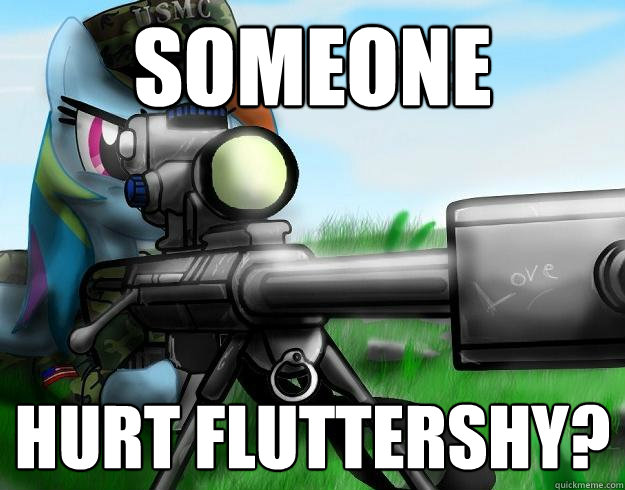 Someone hurt Fluttershy?  Rainbow Dash Barret 50 Cal