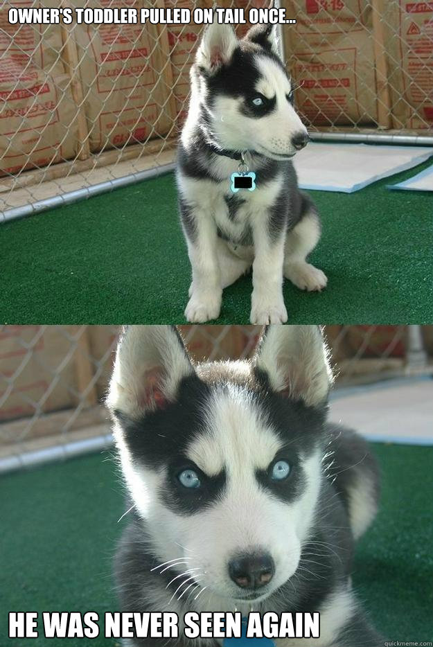Owner's toddler pulled on tail once... He was never seen again  Insanity puppy