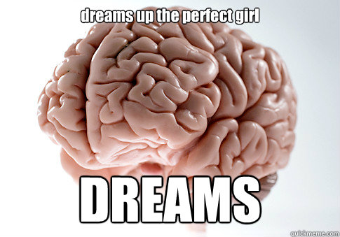 dreams up the perfect girl DREAMS  Scumbag Brain
