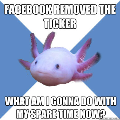 Facebook removed the ticker what am i gonna do with my spare time now?  