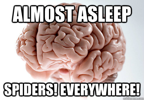 ALMOST ASLEEP SPIDERS! EVERYWHERE!   Scumbag Brain