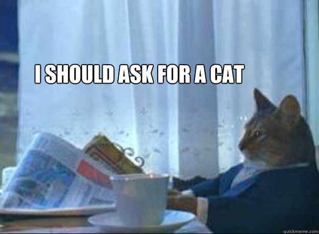 I should ask for a cat   I should buy a boat cat