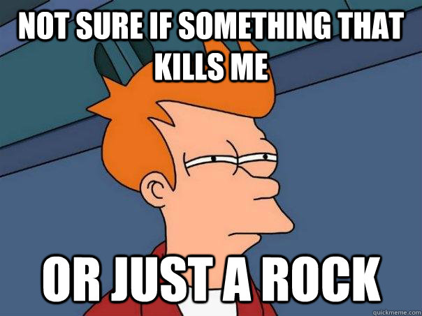 Not sure if something that kills me or just a rock  Futurama Fry