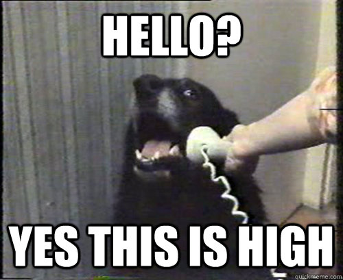 Hello? Yes this is high - Hello? Yes this is high  Misc