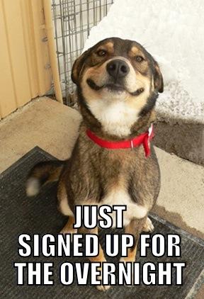  JUST SIGNED UP FOR THE OVERNIGHT Good Dog Greg