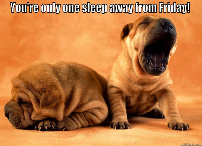 Friday 2 - YOU'RE ONLY ONE SLEEP AWAY FROM FRIDAY!  Misc