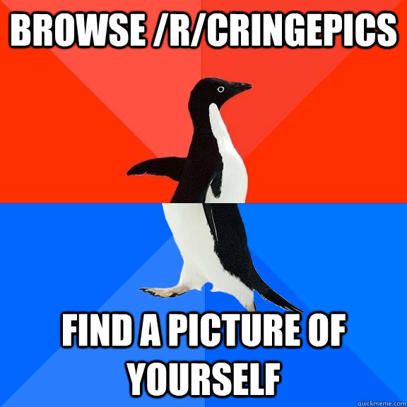 Browse /r/cringepics Find a picture of yourself  Socially Awesome Awkward Penguin