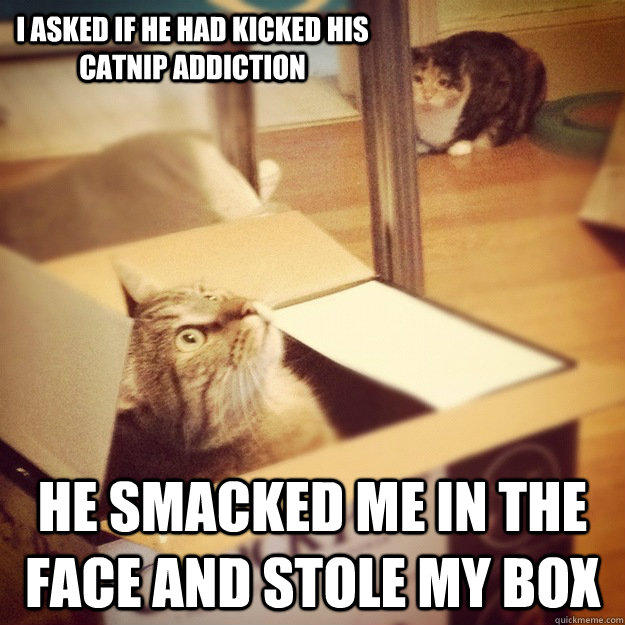 I asked if he had kicked his catnip addiction he smacked me in the face and stole my box  