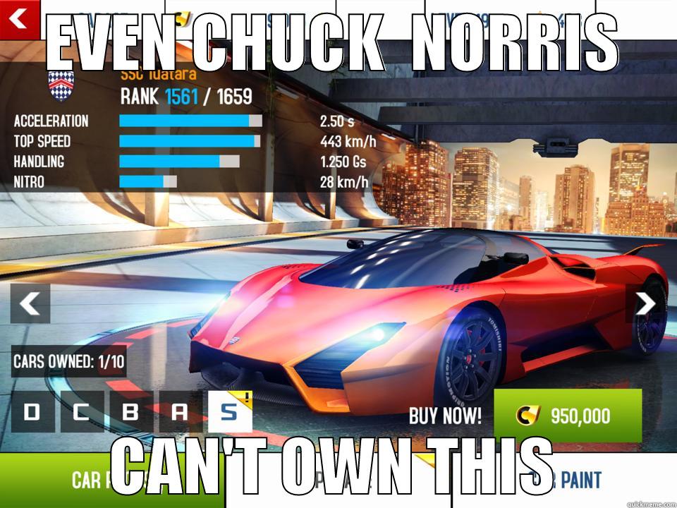 EVEN CHUCK  NORRIS CAN'T OWN THIS Misc
