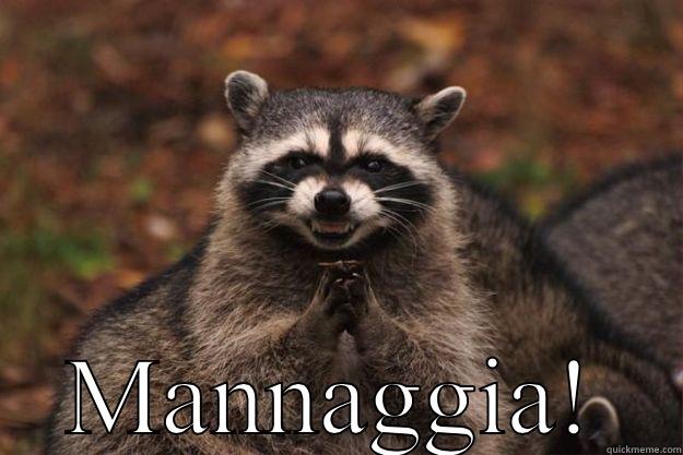  MANNAGGIA! Evil Plotting Raccoon
