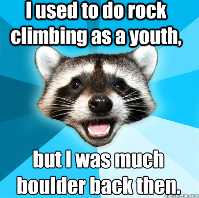 I used to do rock climbing as a youth, but I was much boulder back then.
  Lame Pun Coon
