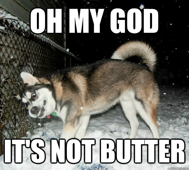 OH my god it's not butter  Sudden Clarity Canine
