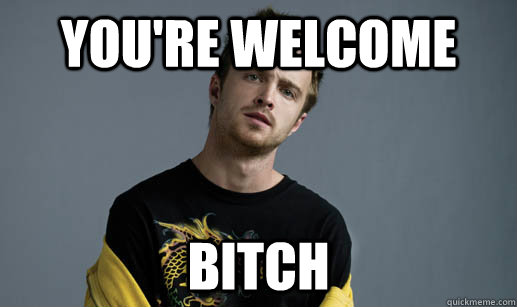 You're welcome Bitch - You're welcome Bitch  Scumbag Jesse Pinkman