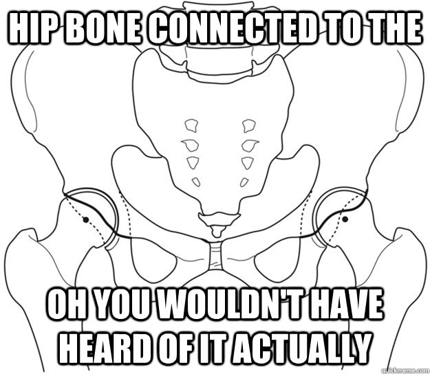 Hip bone connected to the oh You wouldn't have heard of it actually  Hipster
