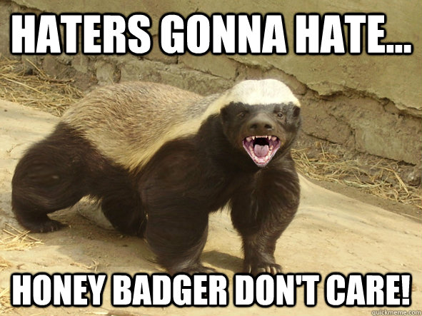haters gonna hate... honey badger don't care!  