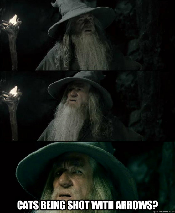 Cats being shot with arrows?  Confused Gandalf