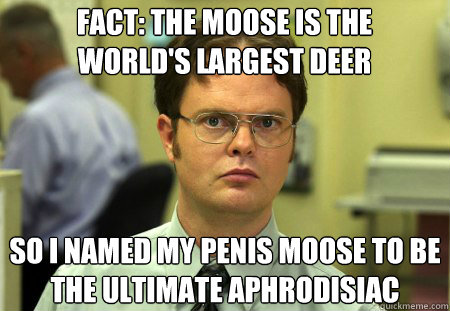 Fact: The Moose is the 
world's largest deer So i named my penis moose to be the Ultimate aphrodisiac  Schrute